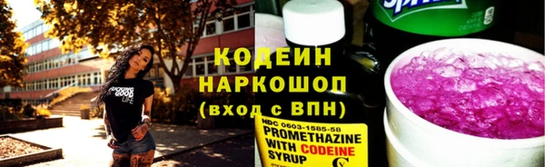 индика Абдулино