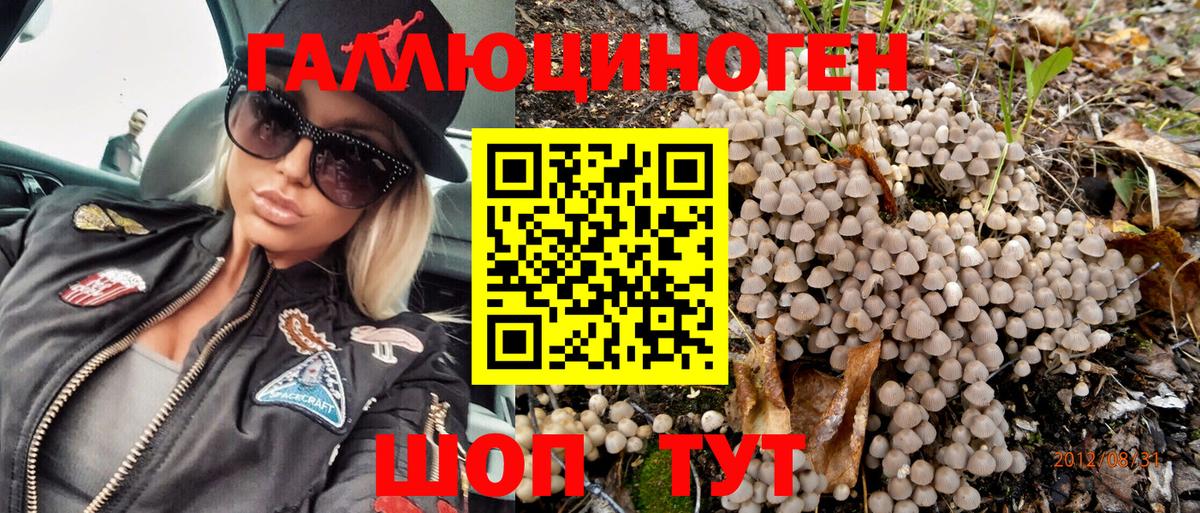 Галлюциногенные грибы Psilocybe  Галлюциногенные грибы GOLDEN TEACHER  Вход с VPN  Соликамск 